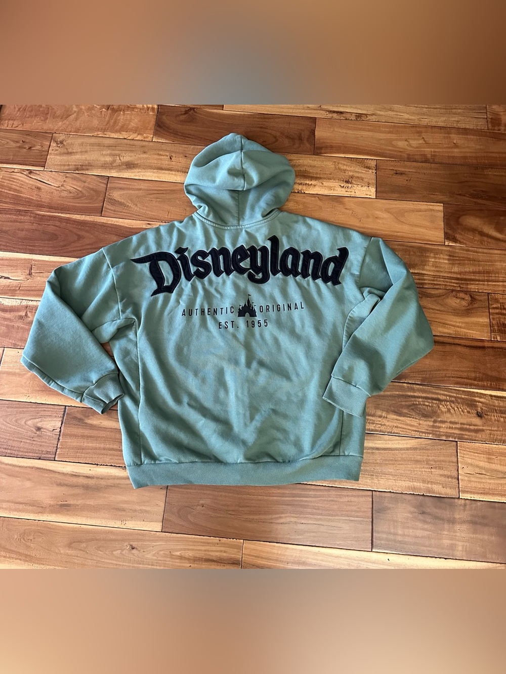 Disneyland Sage Green Embroidered Zip Up Hoodie Size M